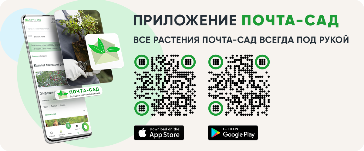 Мобильное приложение Почта-Сад