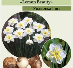 Нарцисс разрезнокорончатый 'Lemon Beauty'  рис.0