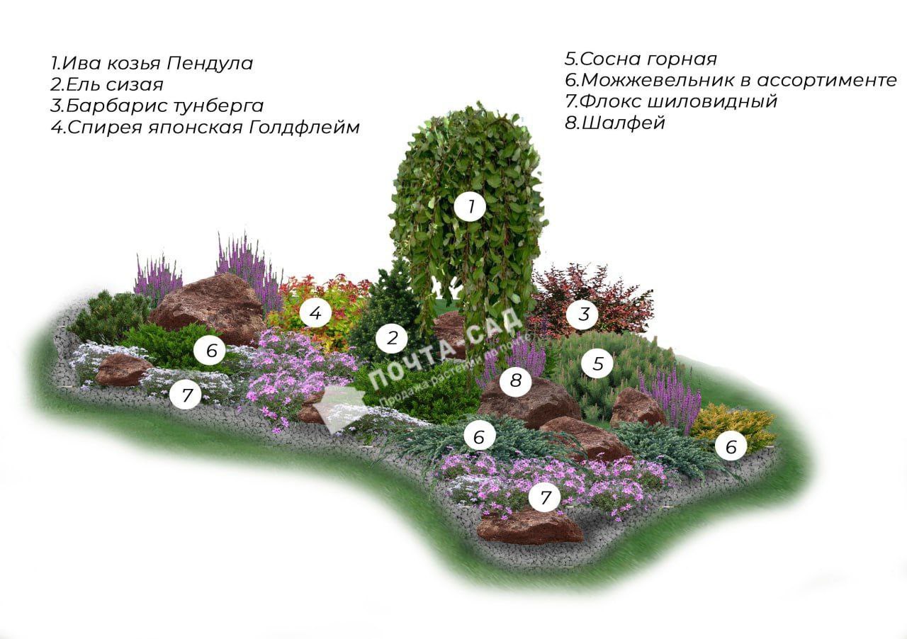 Романтичный флокс