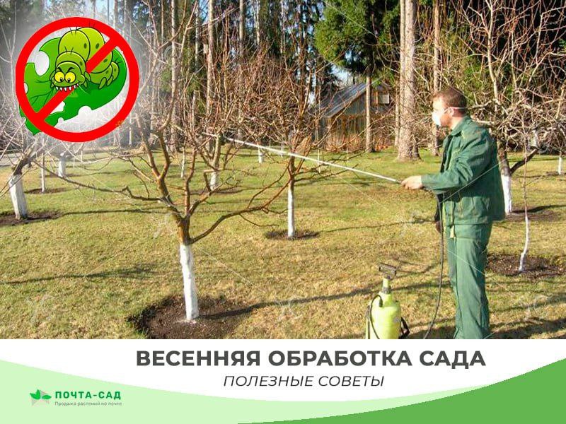 Весенняя обработка сада