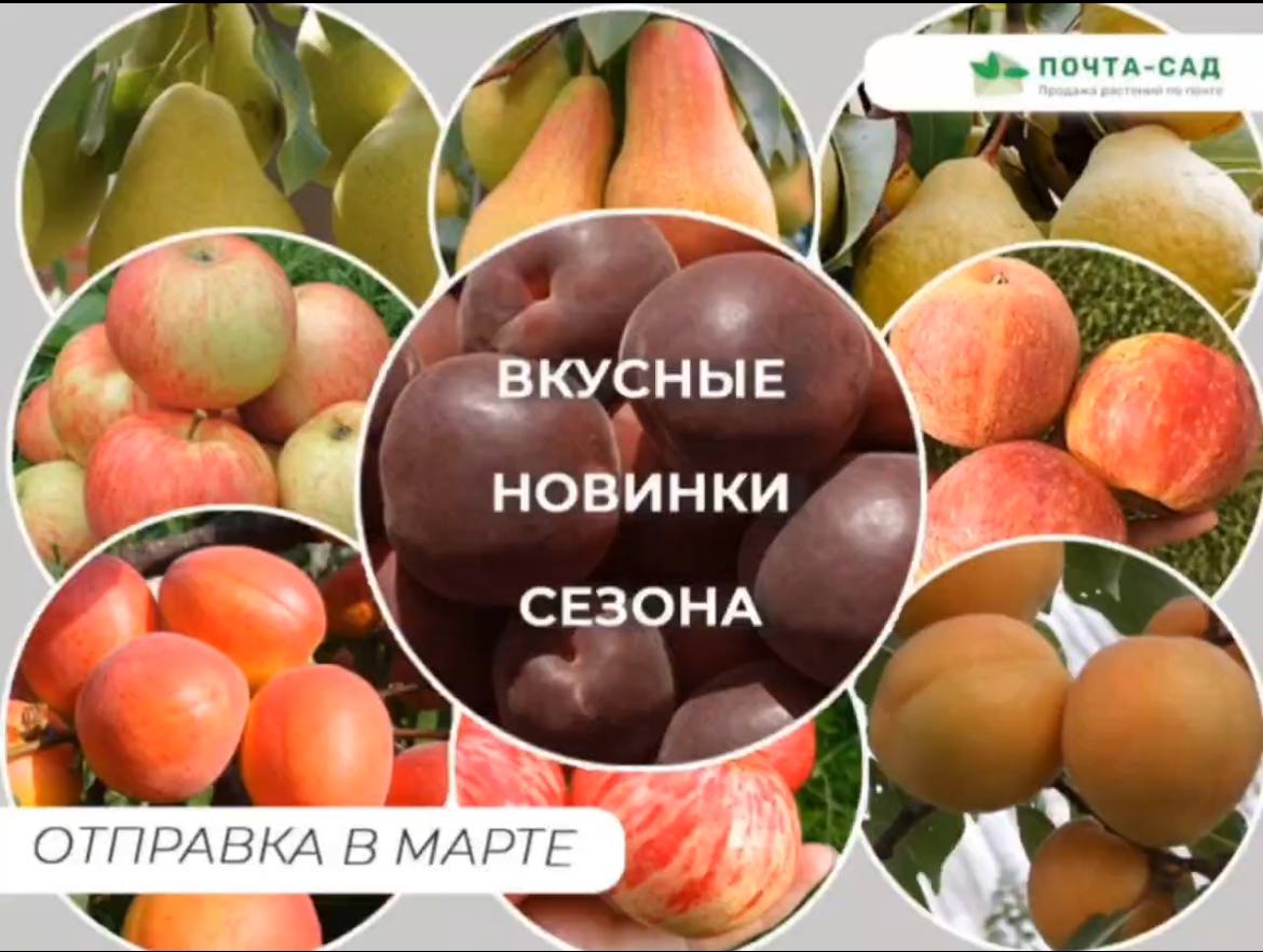 Вкусные новинки сезона