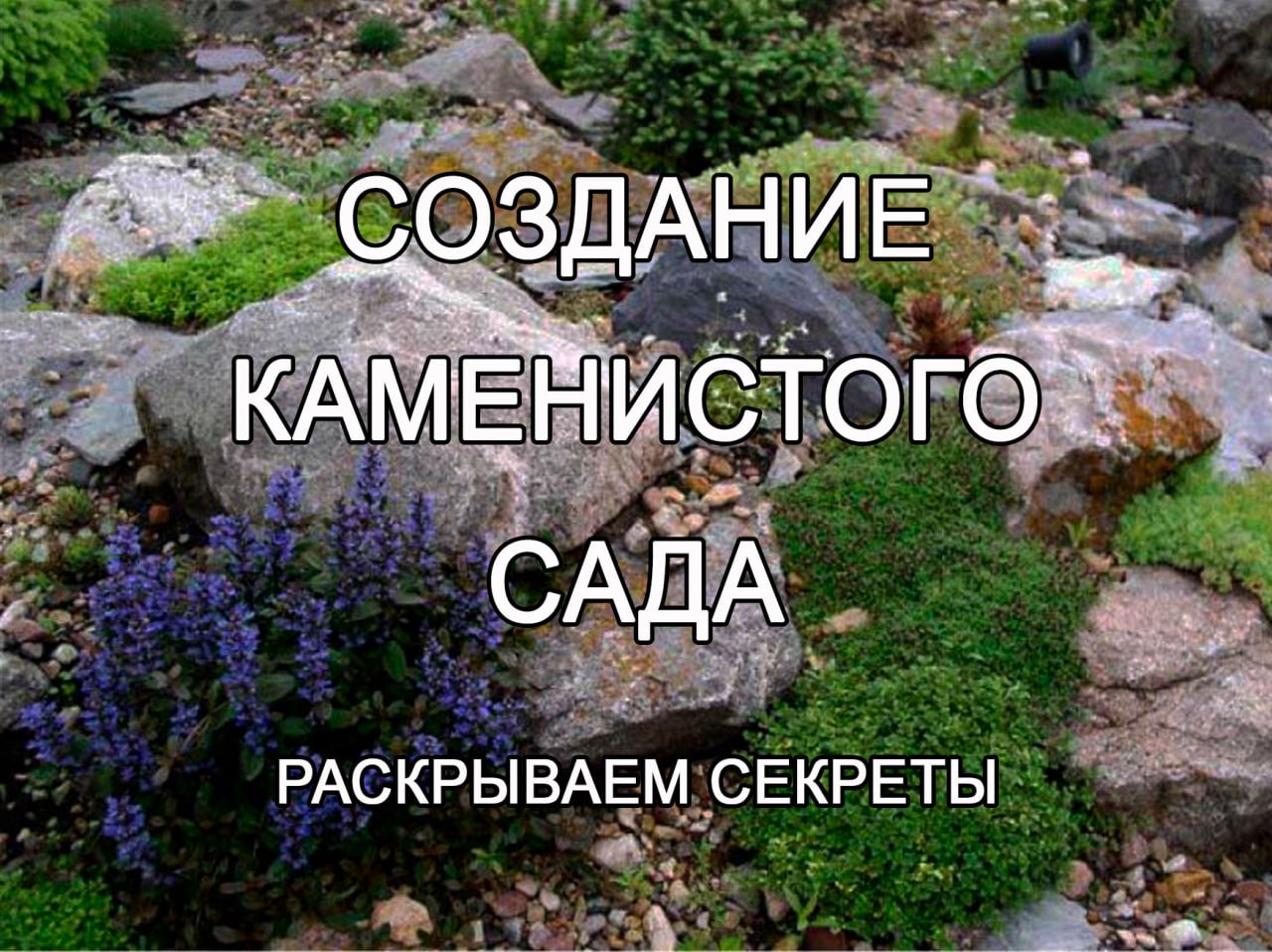 Секрет создания каменистого сада